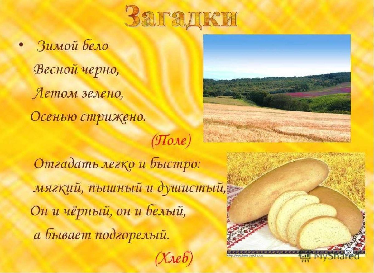 Хлеб для детей
