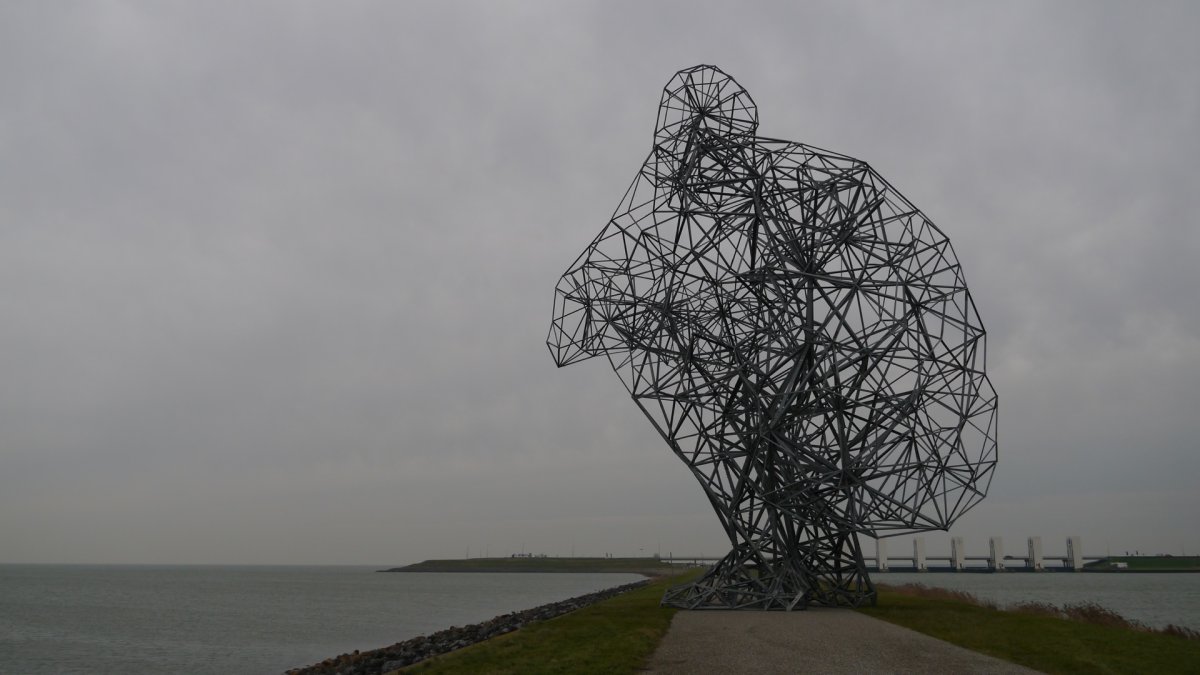 Энтони Гормли (Antony Gormley) квантовое облако