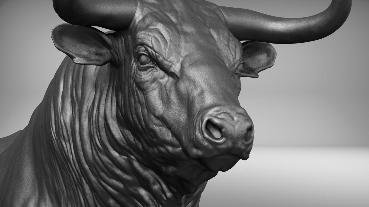 Toro Bravo