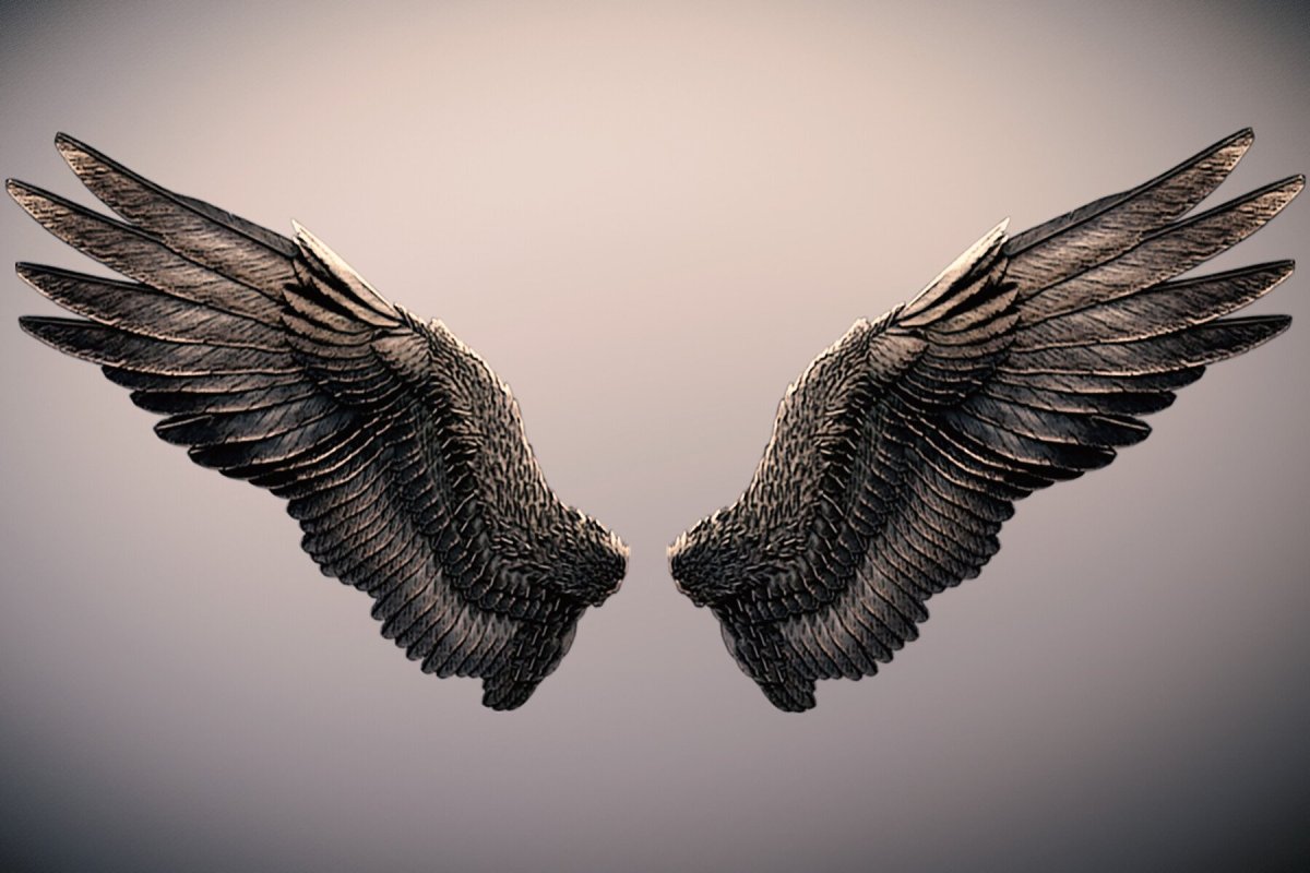 Крылья ангела Zbrush