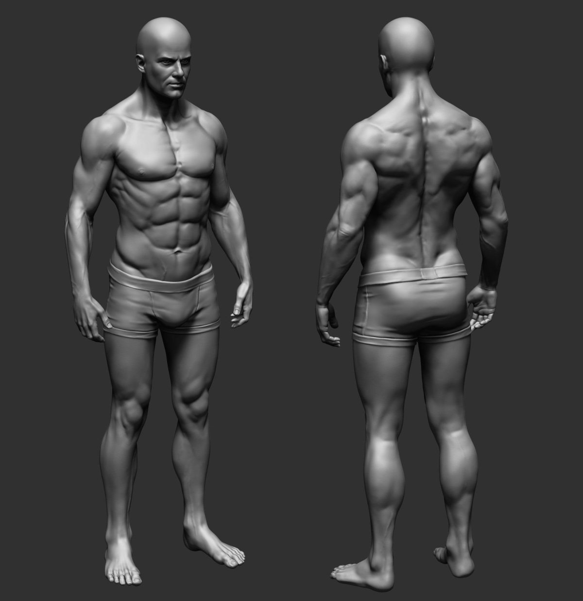 Zbrush анатомия человека