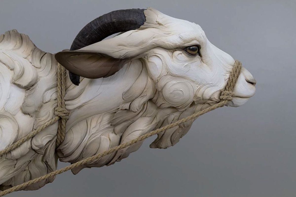 Beth Cavener