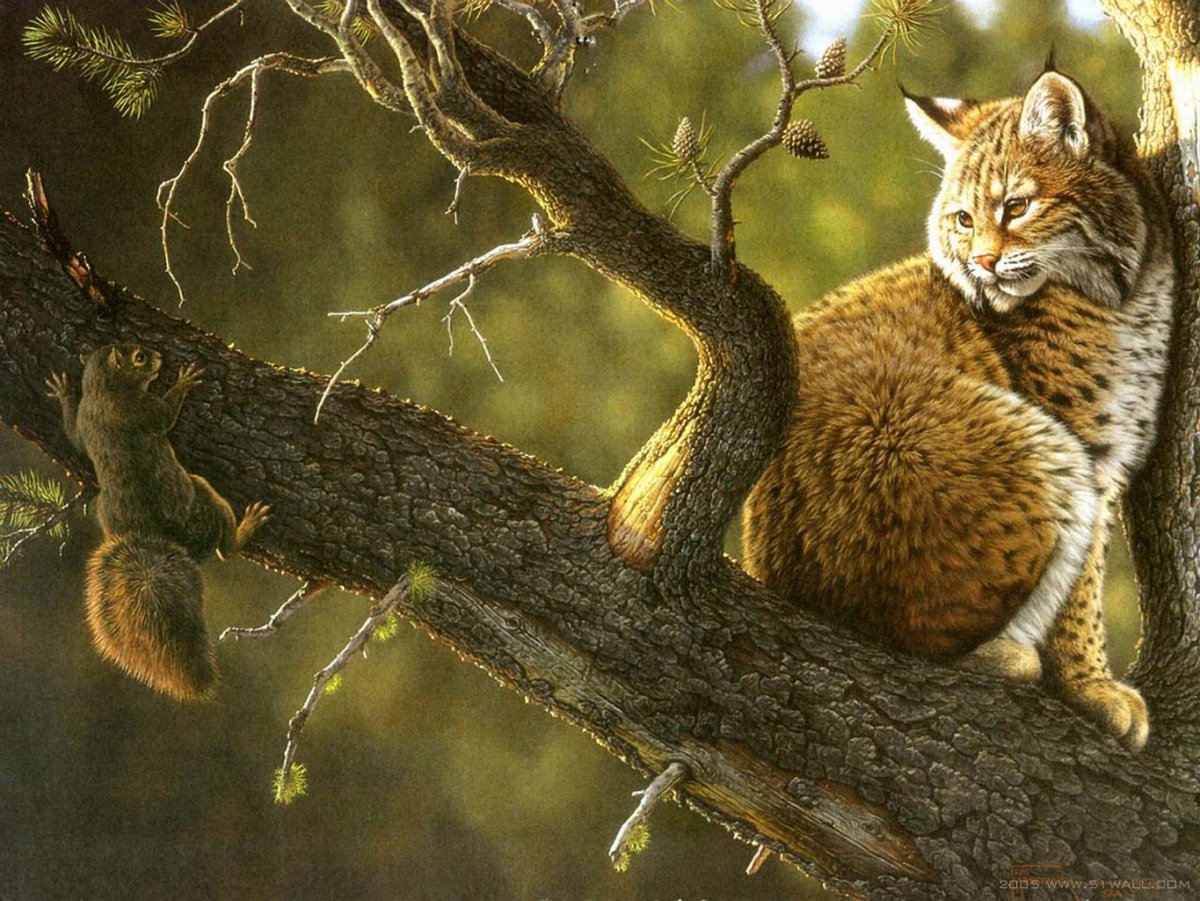Художник-анималист Mansanarez Tom