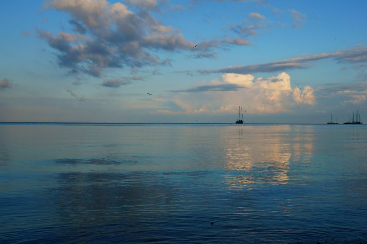 Черное море штиль