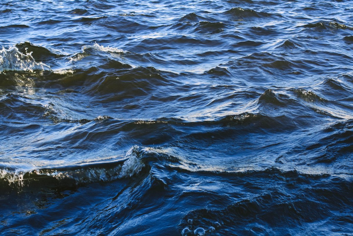 Волны на поверхности воды