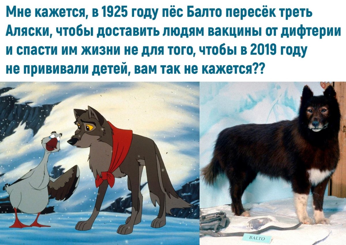 Смешное про антипрививочников