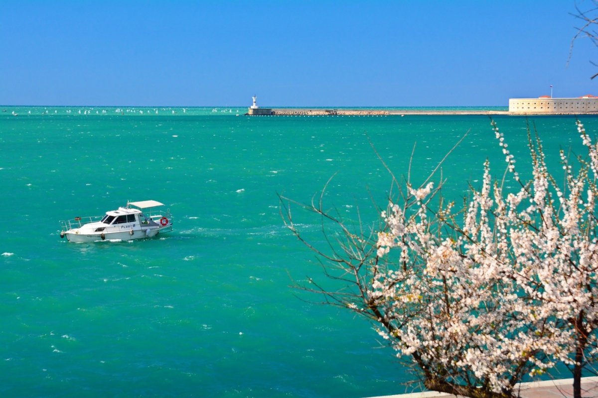 Севастополь черное море черное