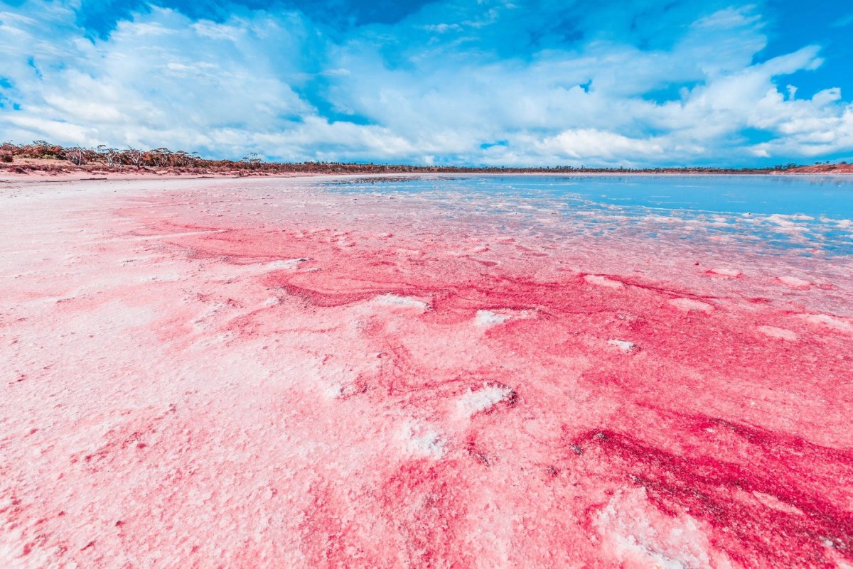 Lake hillier водоросли