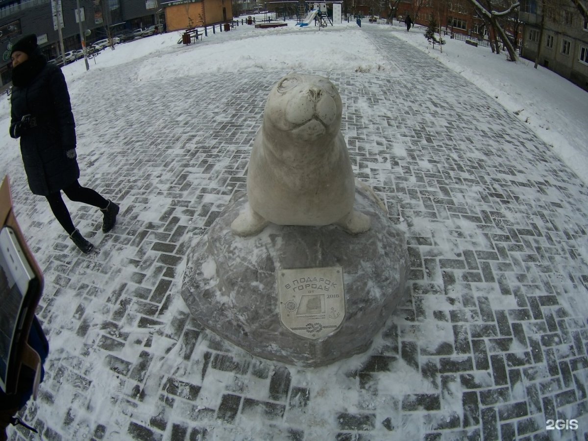 Снежногорск Нерпа памятник
