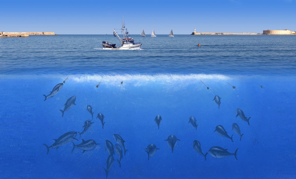 Морская рыбалка в Крыму