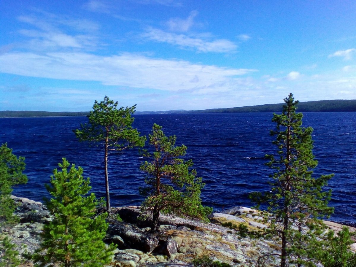 Северная Карелия берег белого моря
