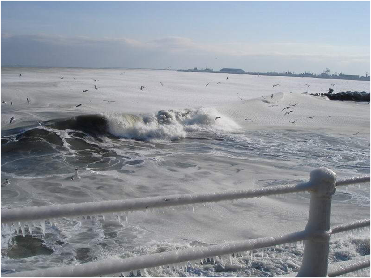 Море замерзает зимой