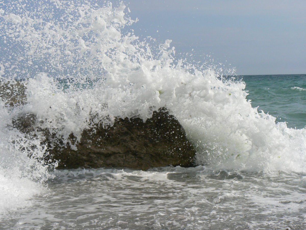Цвет чёрного моря в Крыму