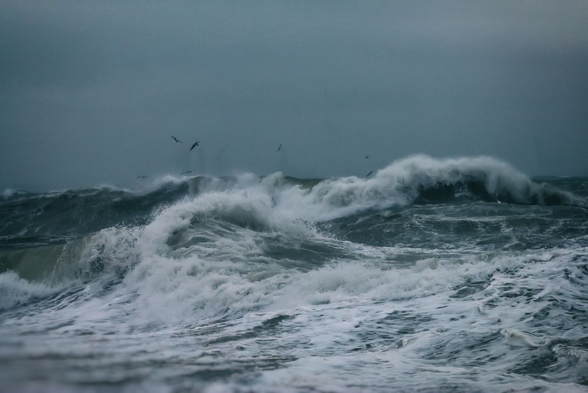 Marea Beaufort