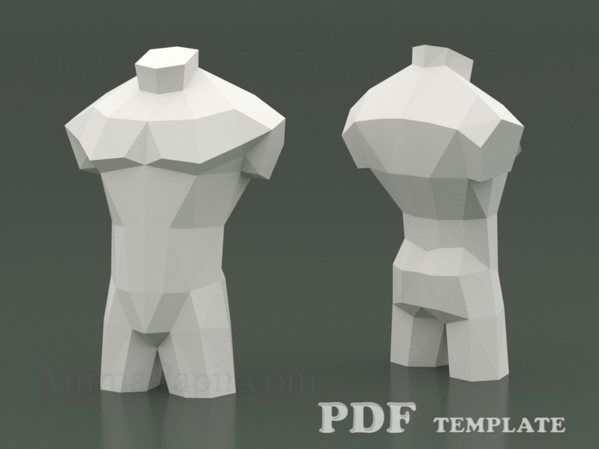 Мужской торс 3d модель