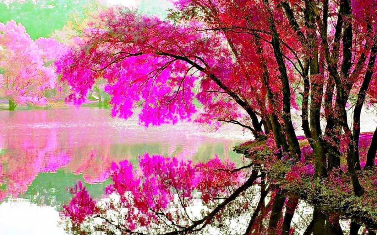 Природа в розовых тонах
