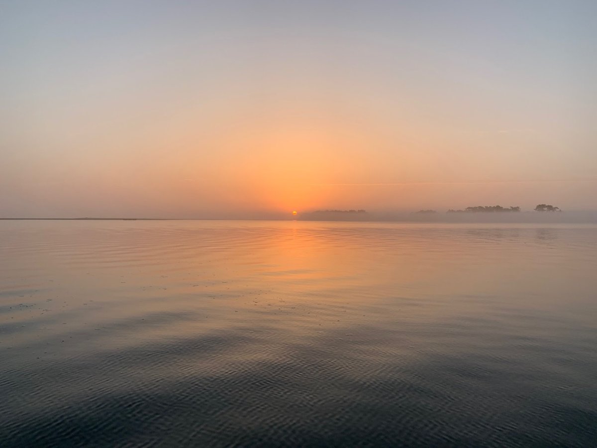 Fade Sunrise