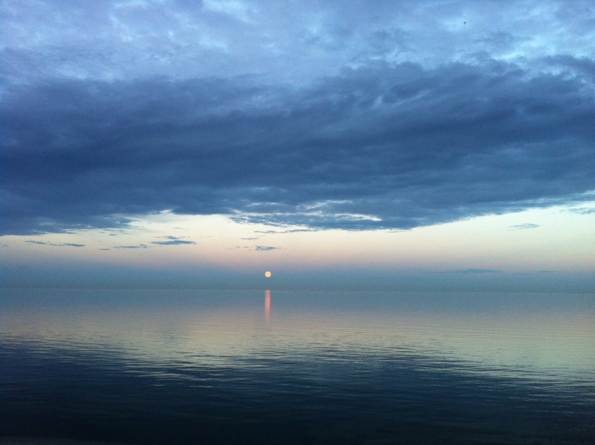 Отдых на Wadden Sea