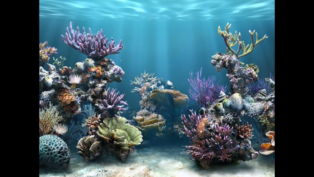 Морское дно 3d