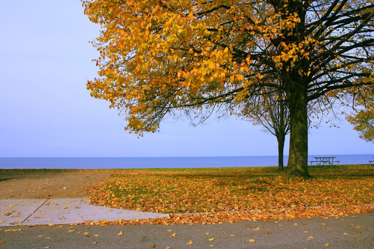 Осеннее море