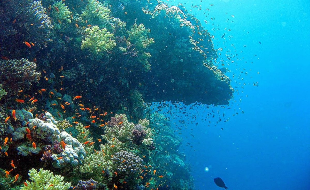 Море под водой