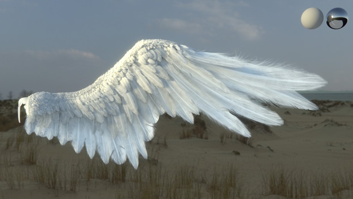 Ангел с крыльями