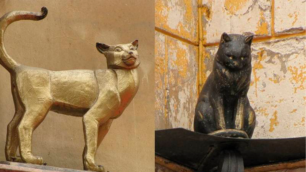 Кот Елисей и кошка Василиса в Санкт-Петербурге