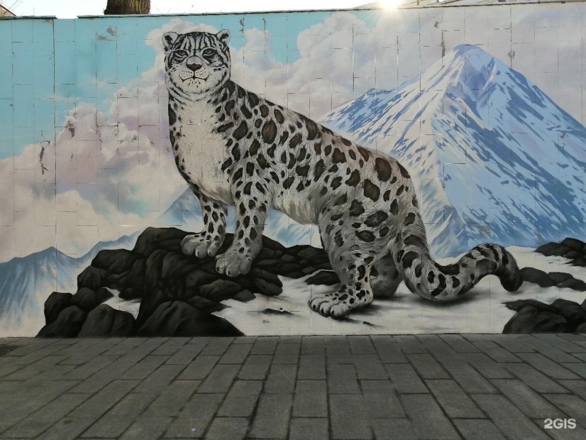 Снежные Барсы Москва
