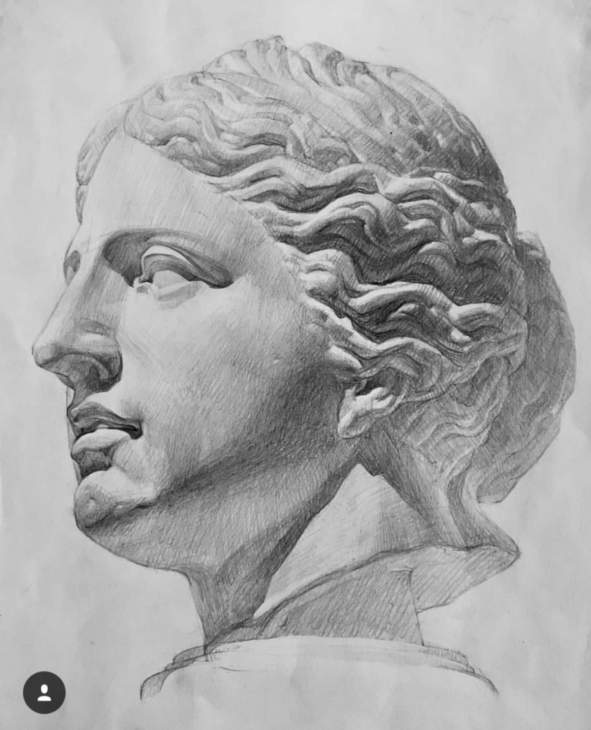Гипсовая голова Гаттамелата конструктивный рисунок