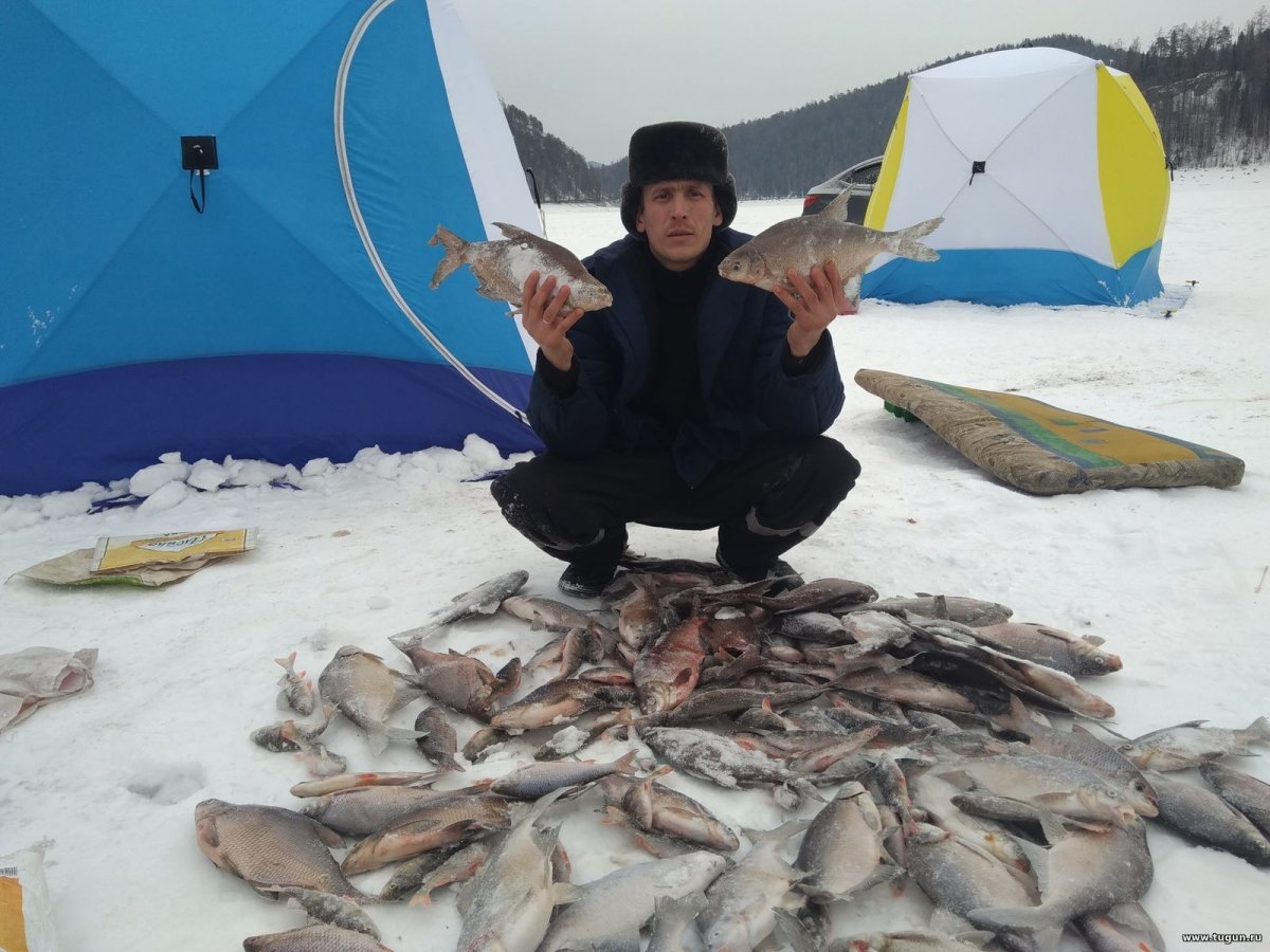 Красноярское водохранилище Бирюсинский залив рыбалка