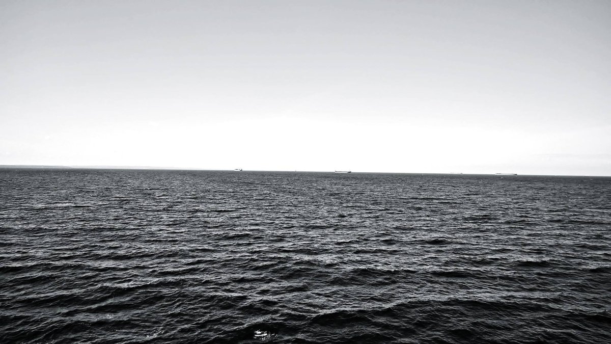 Море черно белое