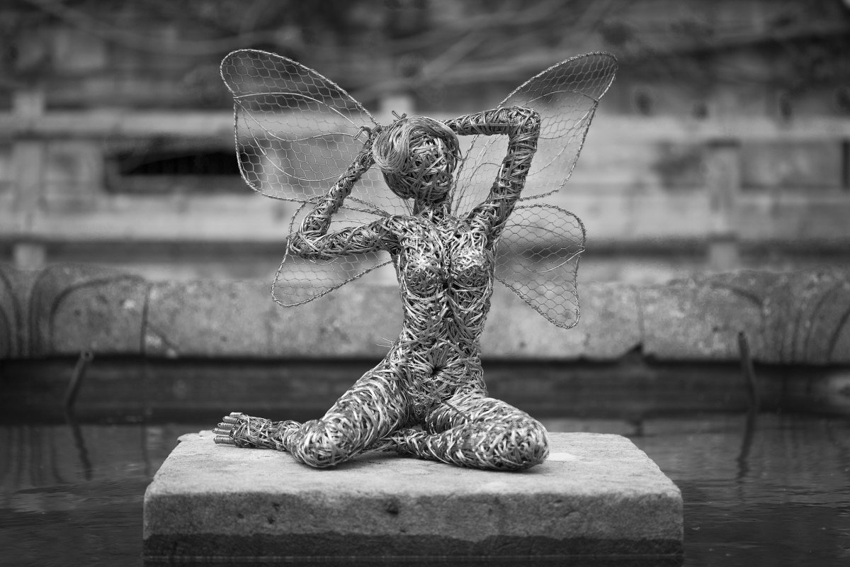 John Peri фотограф