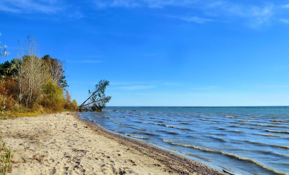 Обское водохранилище Новосибирская область