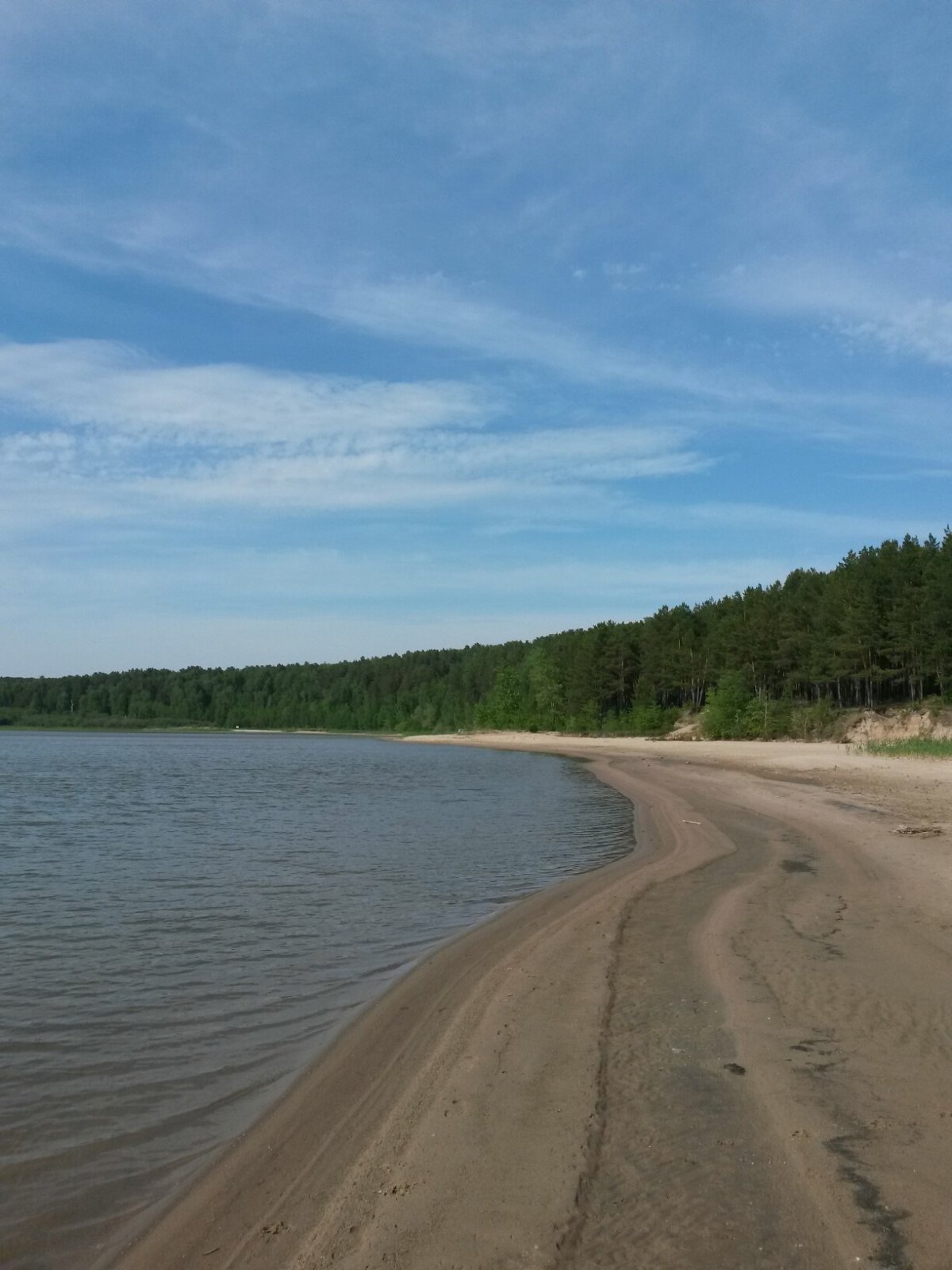 Обское море Бердская коса
