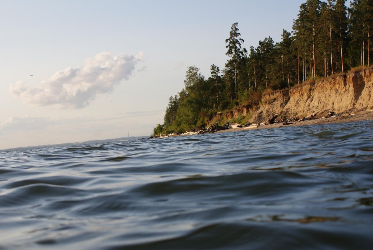 Обское водохранилище Бердск