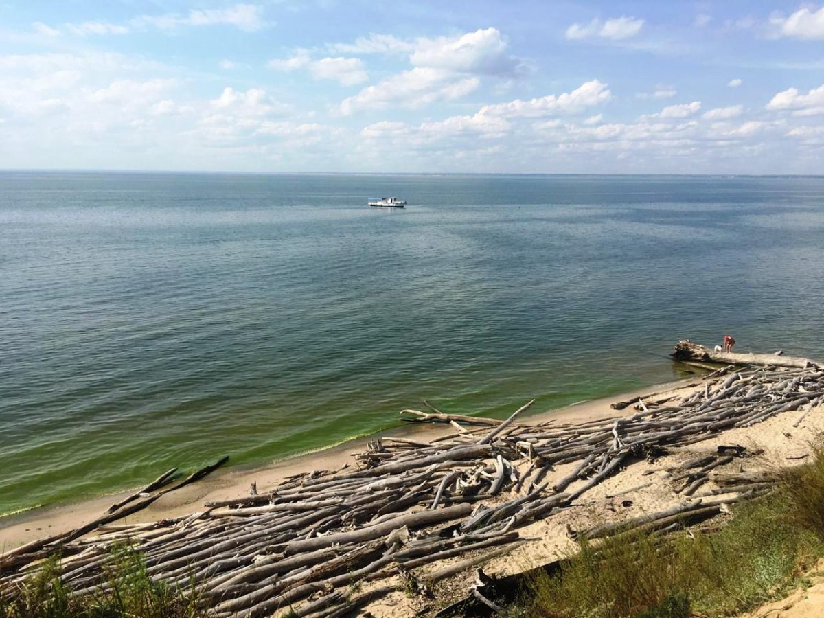 Обское водохранилище Новосибирск лето