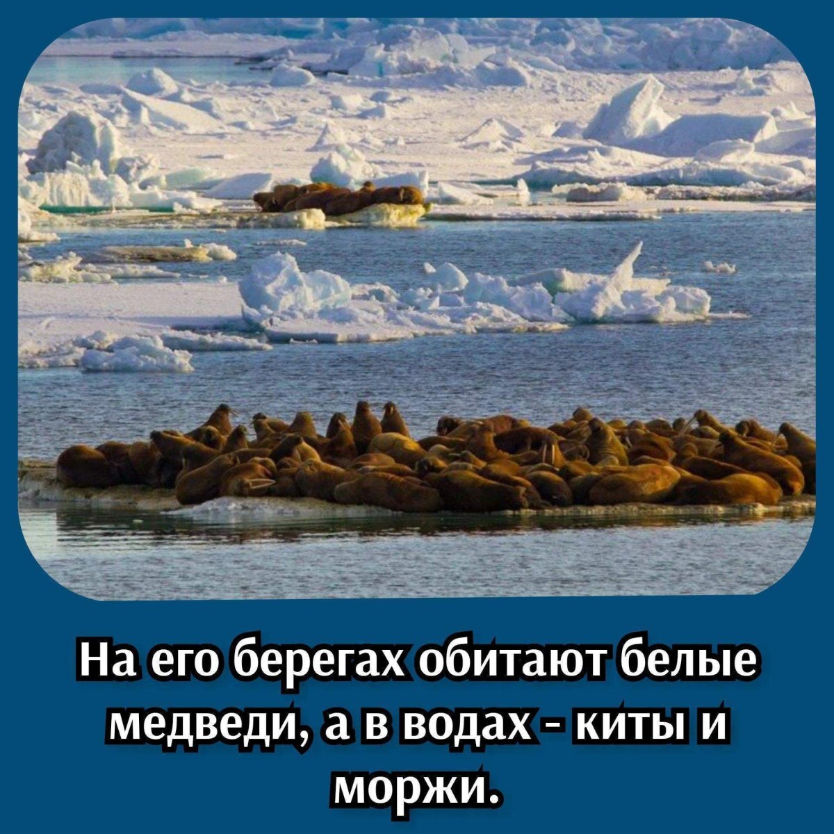 Самые необычные России
