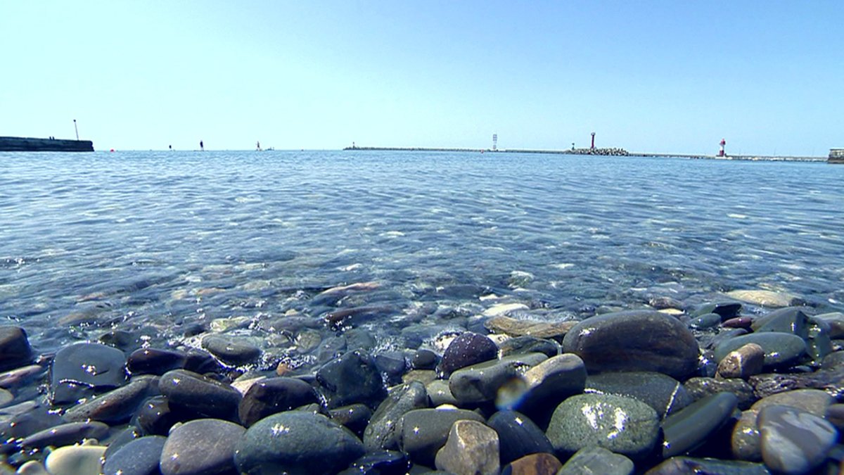 Черное море Сочи