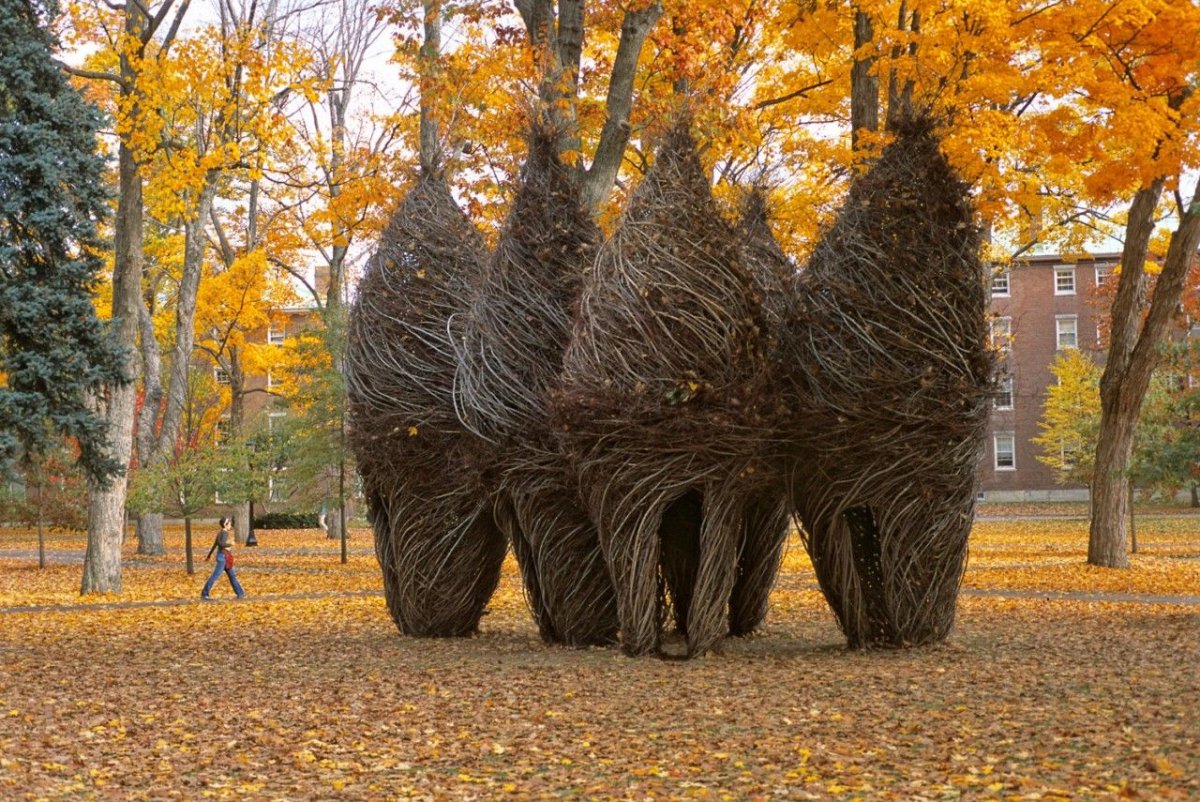 Скульптуры Patrick Dougherty