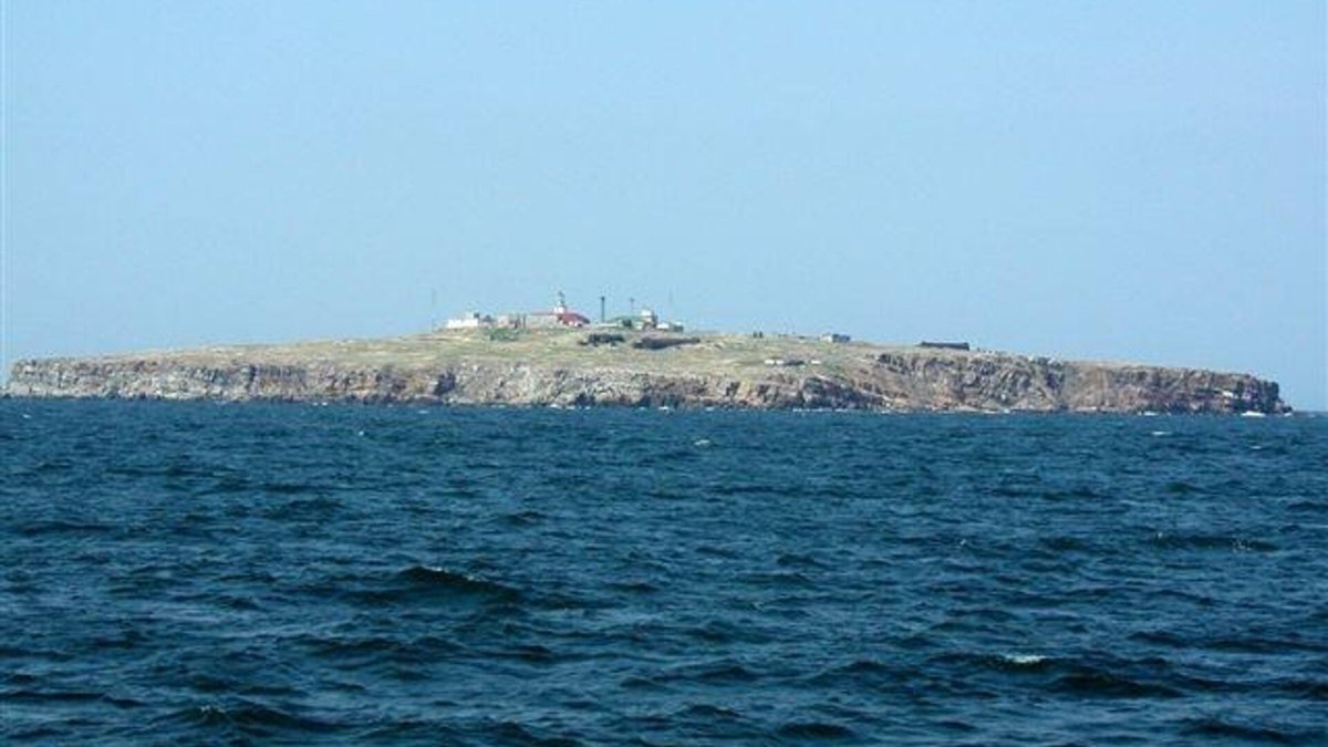 Остров змеиный