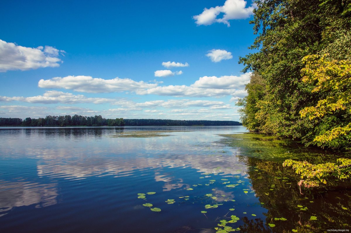 Водохранилища Беларуси