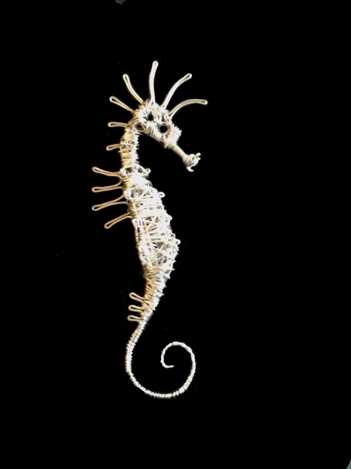 Liquor Gecko Seahorse