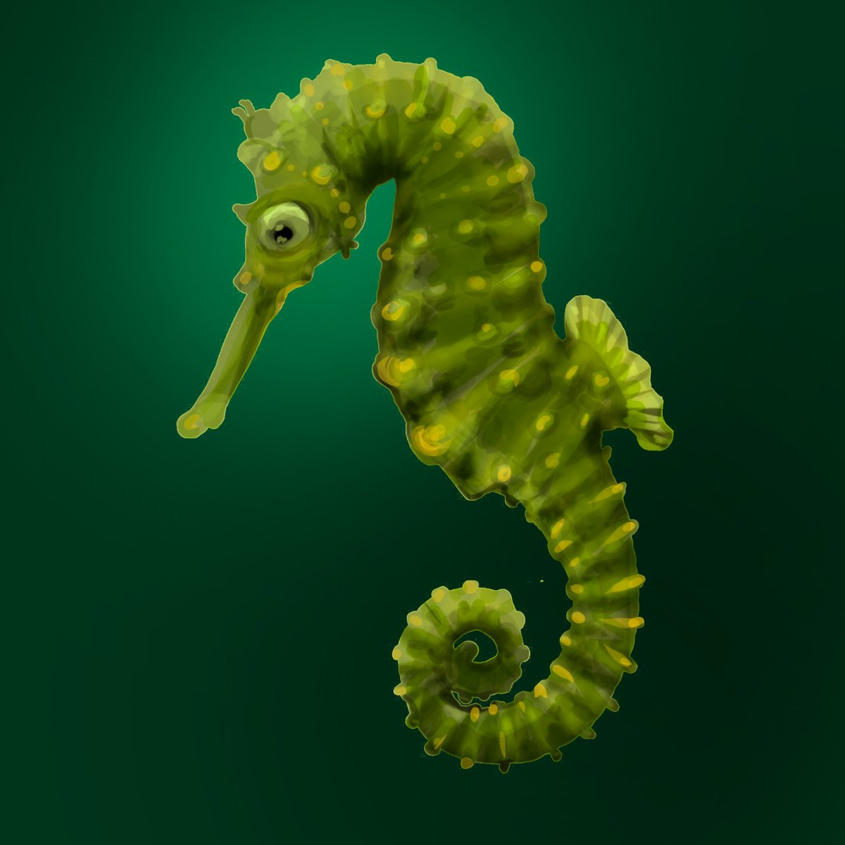 Скелет морского конька