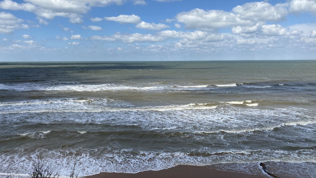 Измение Азовского моря из за Кубани