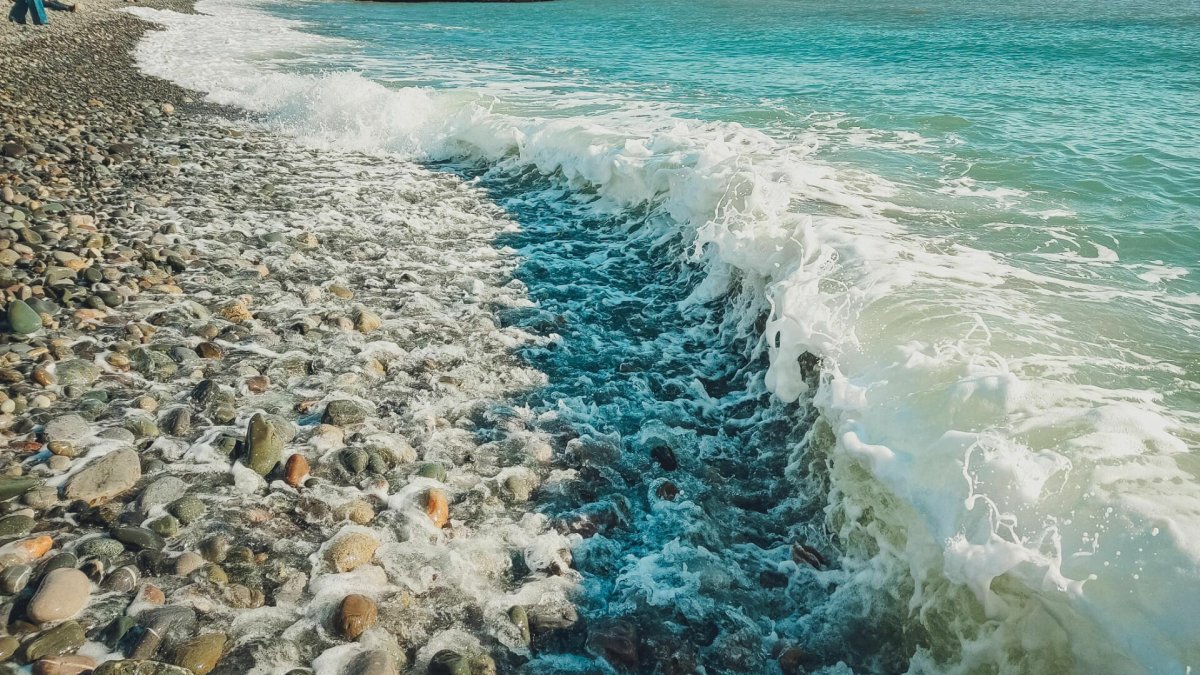 Гагра море