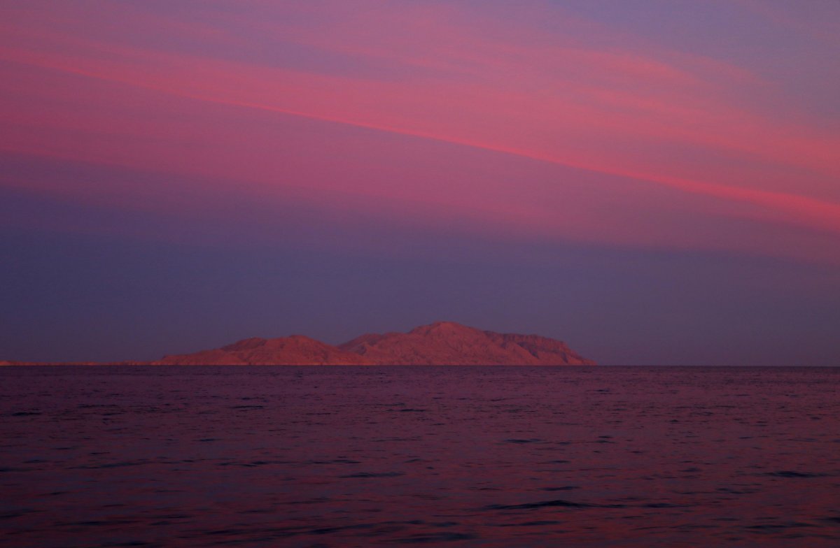 Красное море картинки фото