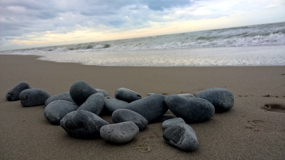 Серый камушек на берегу