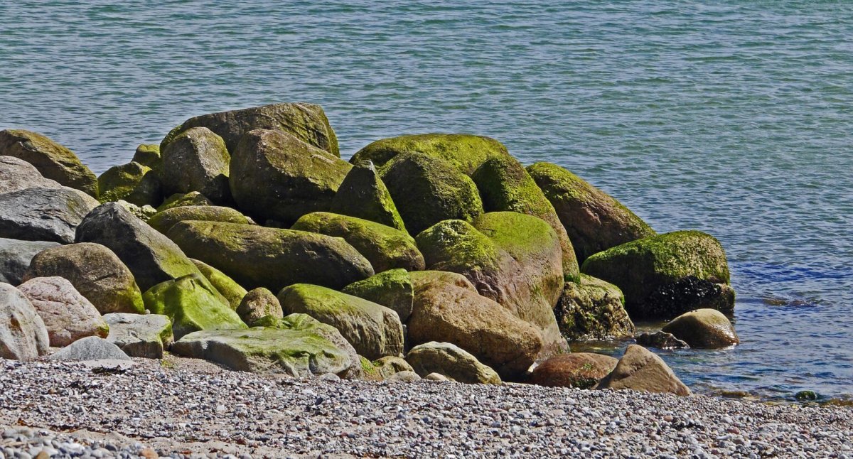 Балтийское море камни