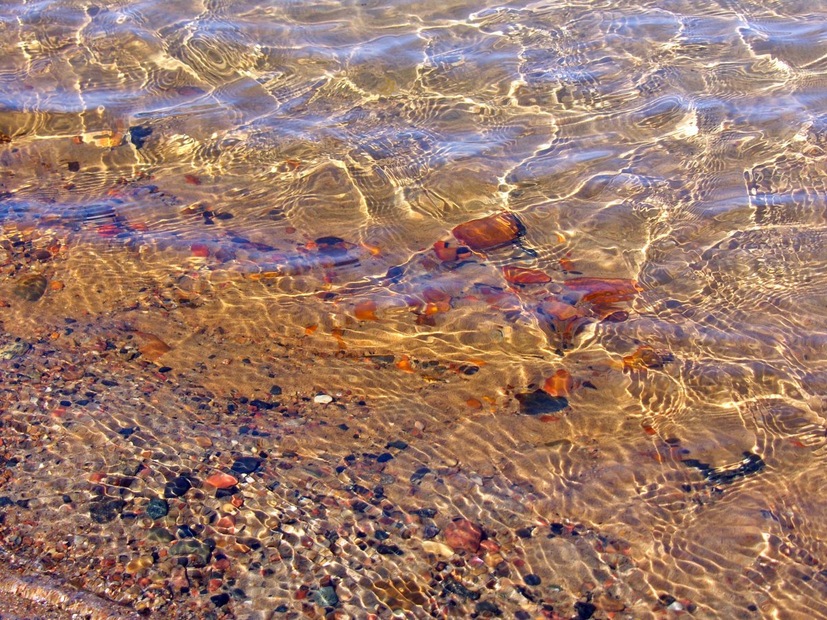 Балтийское море янтарь