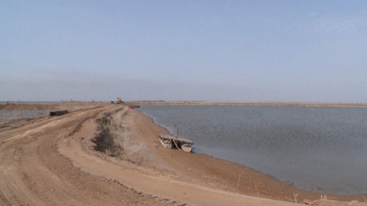 Лагань Астрахань